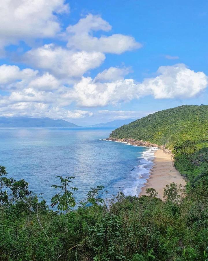 The Search Surf - Maranduba Ubatuba